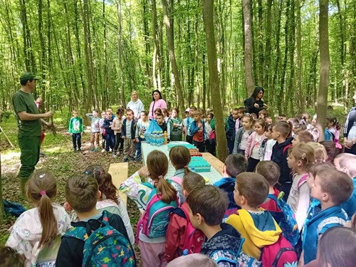 posumljavanje27.05.25 majevica 1