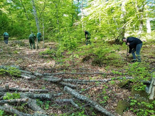 posumljavanje27.05.25 sjemec 1