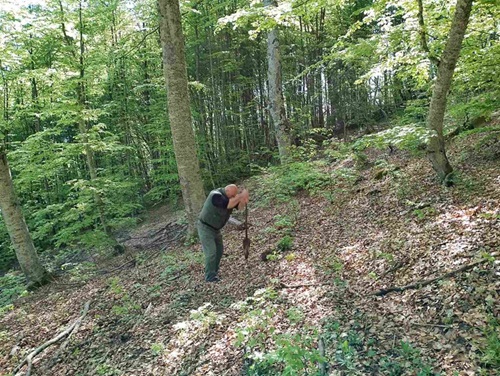 posumljavanje27.05.25 sjemec 2